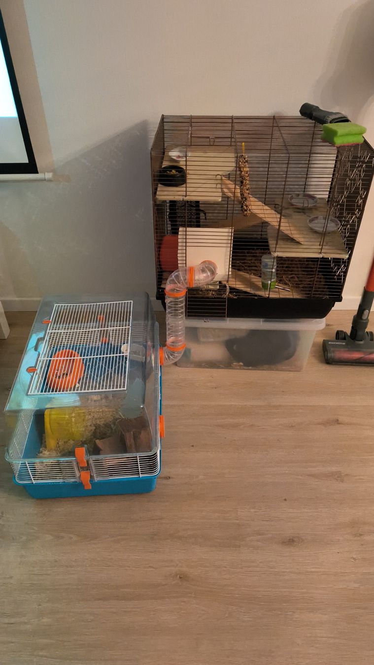 Gabbie, trasporto & Sicurezza: Lot de 2 cages et articles pour hamster – Usato da St-Imier venduto da str_jp9w 5