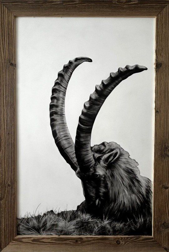 Foto & Immagini: Steinbock Airbrush mit Altholzrahmen – Nuovo (secondo la descrizione) da Fläsch venduto da Dergrenzer