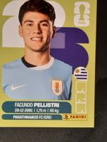 Panini 2026 URU20