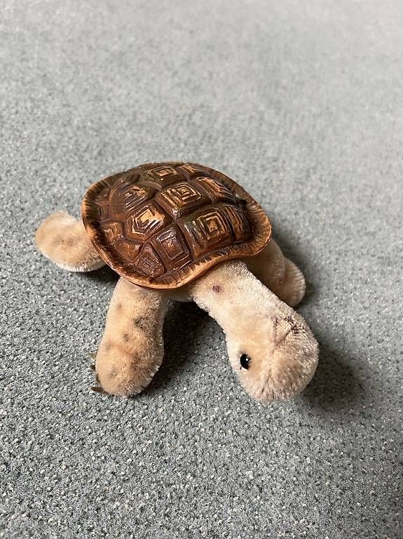 Giocattoli: Steiff Vintage Schildkröte Slo  – Usato da Zürich venduto da Voerny 2
