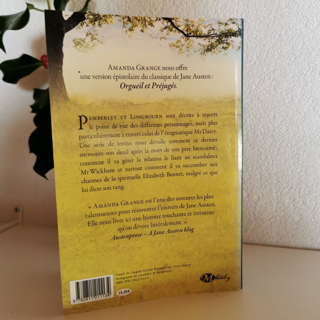 Libri: Cher Mr Darcy - Amanda Grange – Nuovo (secondo la descrizione) da Veytaux venduto da lelivreouvert 2
