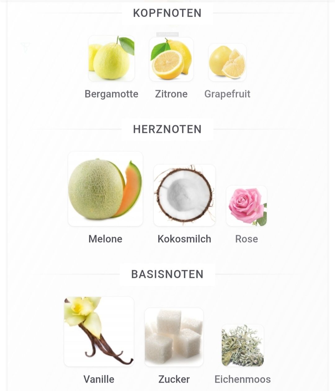 Profumi & Eau de Toilette: KHADLAJ Biscotti Melon Misk Extrait – Nuovo (secondo la descrizione) da Winterthur venduto da Je. 3