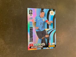 Panini Adrenalyn