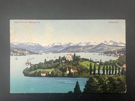AK   1913  Hotel Halbinsel Au Wädenswil       (G888)