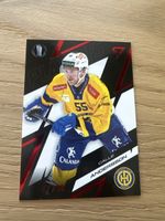 Sportzoo Playoffs Calle Andersson HCD