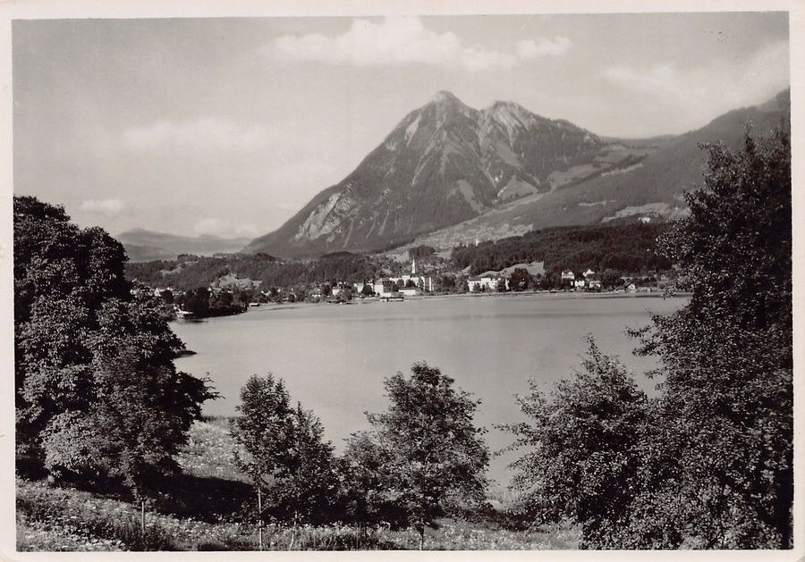 Cartoline postali: Sarnen, Feldpost GEB. TELEGR. KP. 8 – Usato da Frauenfeld venduto da POML