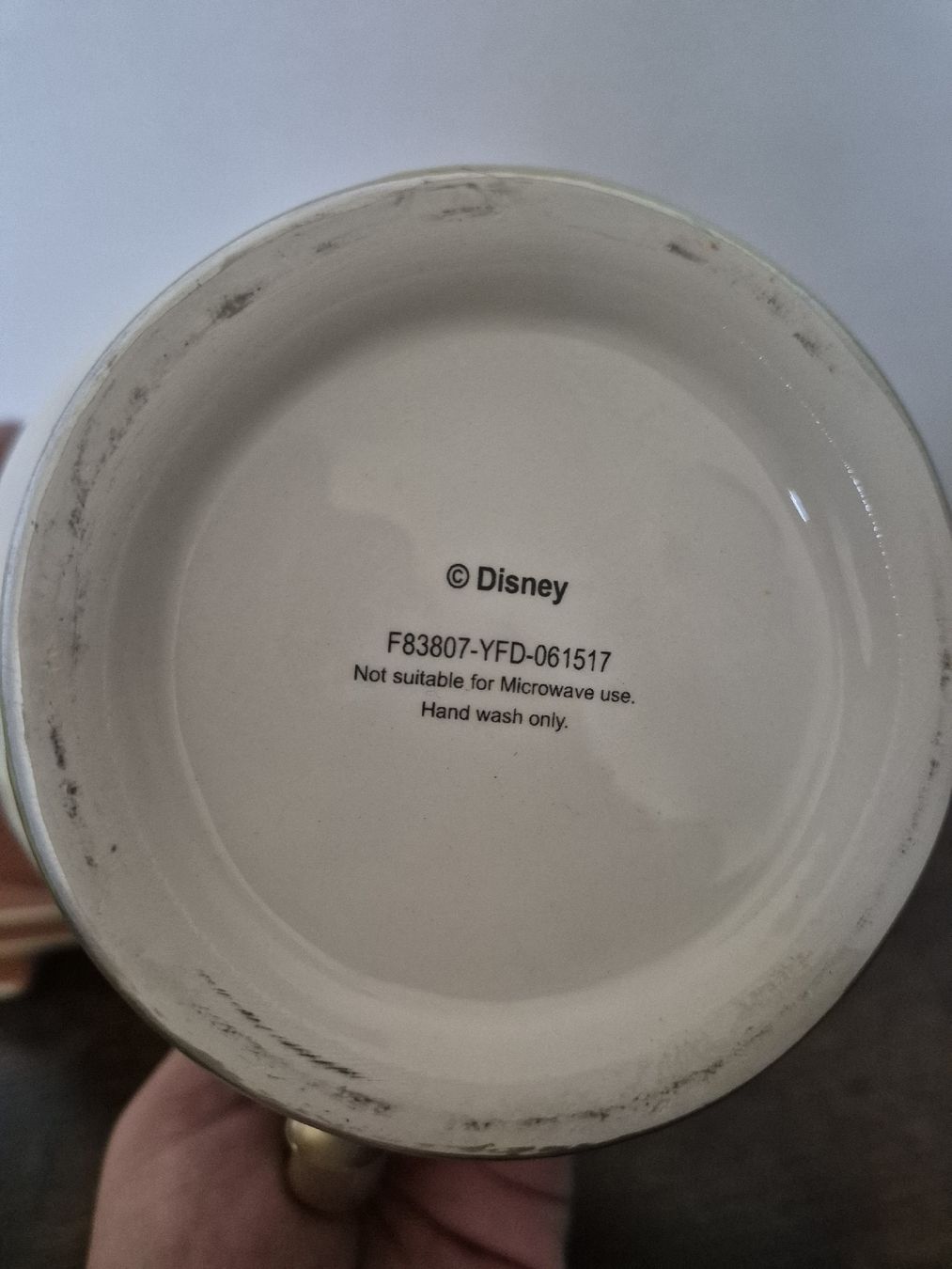 Tutte le decorazioni: Disney "Die Schöne und das Biest" Deko Set – Usato da Frauenfeld venduto da Shimy 7