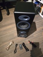 Audioengine A5+