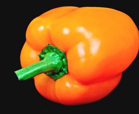 Piante & sementi: 20 Samen Orange "Paprika" Graines Poivron Orange – Nuovo e nell'imballaggio originale da Rovio venduto da POSITIFFARTandPLANTS 7