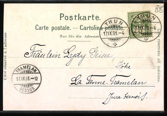 Cartoline postali: Litho Bern, Bärengraben, Hirschpark – Usato da Berlin venduto da bartko-reher 1