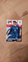 Panini FIFA Sammelkarten Adrenalyn Nr. 127