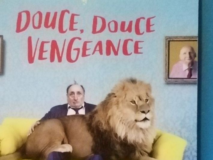 Libri: Jonas Jonasson - Douce, douce vengeance - Livre Pocket! – Nuovo (secondo la descrizione) da Commugny venduto da Juliemimi