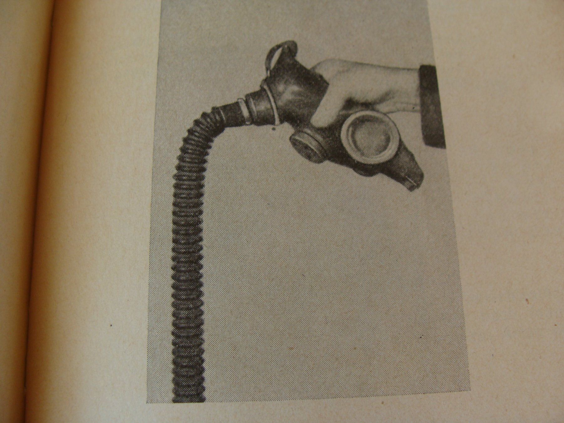 Schweizer Armee Armi bianche: Die Gasmaske 1953 – Usato da Cuarny venduto da hen_g7hn 3