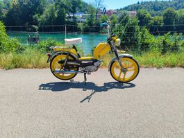 Pony Sachs ohne Ausweis .lauft