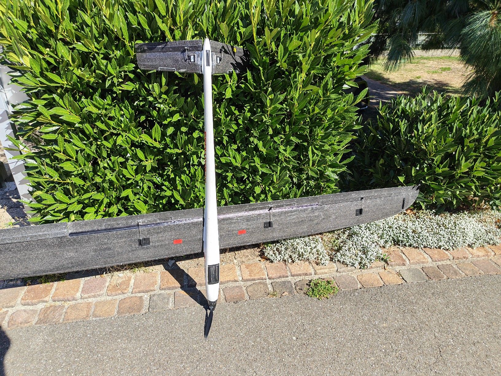 Modellismo RC: RC Segelflugzeug E-Sky Albatross – Usato da Kallern venduto da Slobsen 7