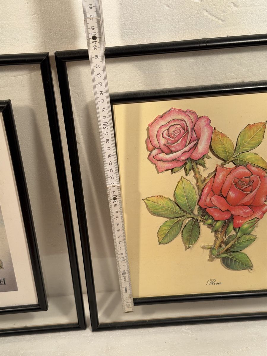 Stickrahmen: Two Framed Floral Prints – Gebraucht aus Lausanne von artnouveau04 4