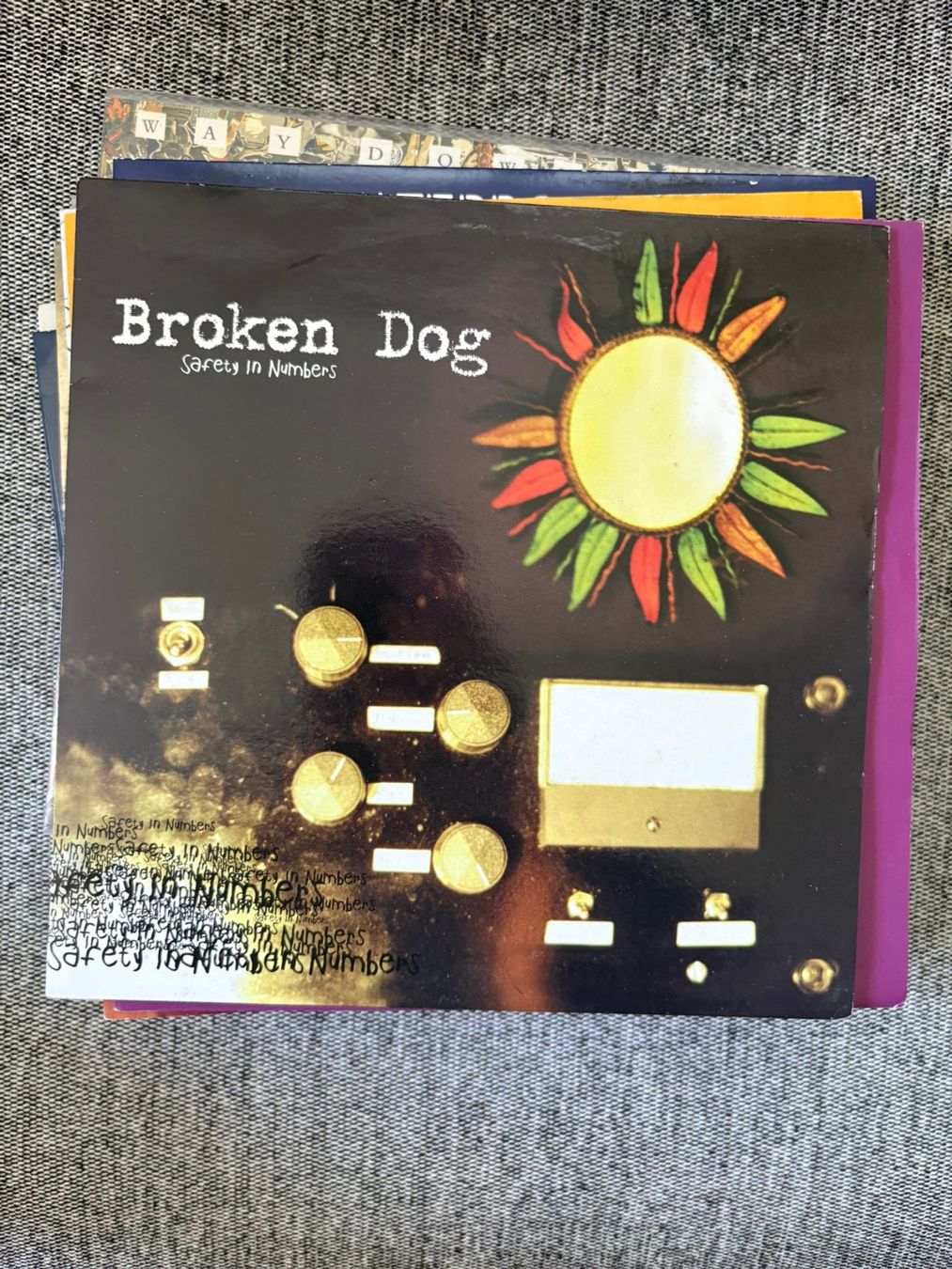 Schallplatten: Broken Dog -Safety In Numbers – Gebraucht aus Zofingen von Bigron