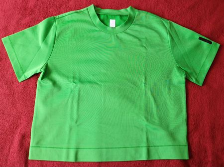 Braxlab Shirt grün, Grösse 42, Top Zustand