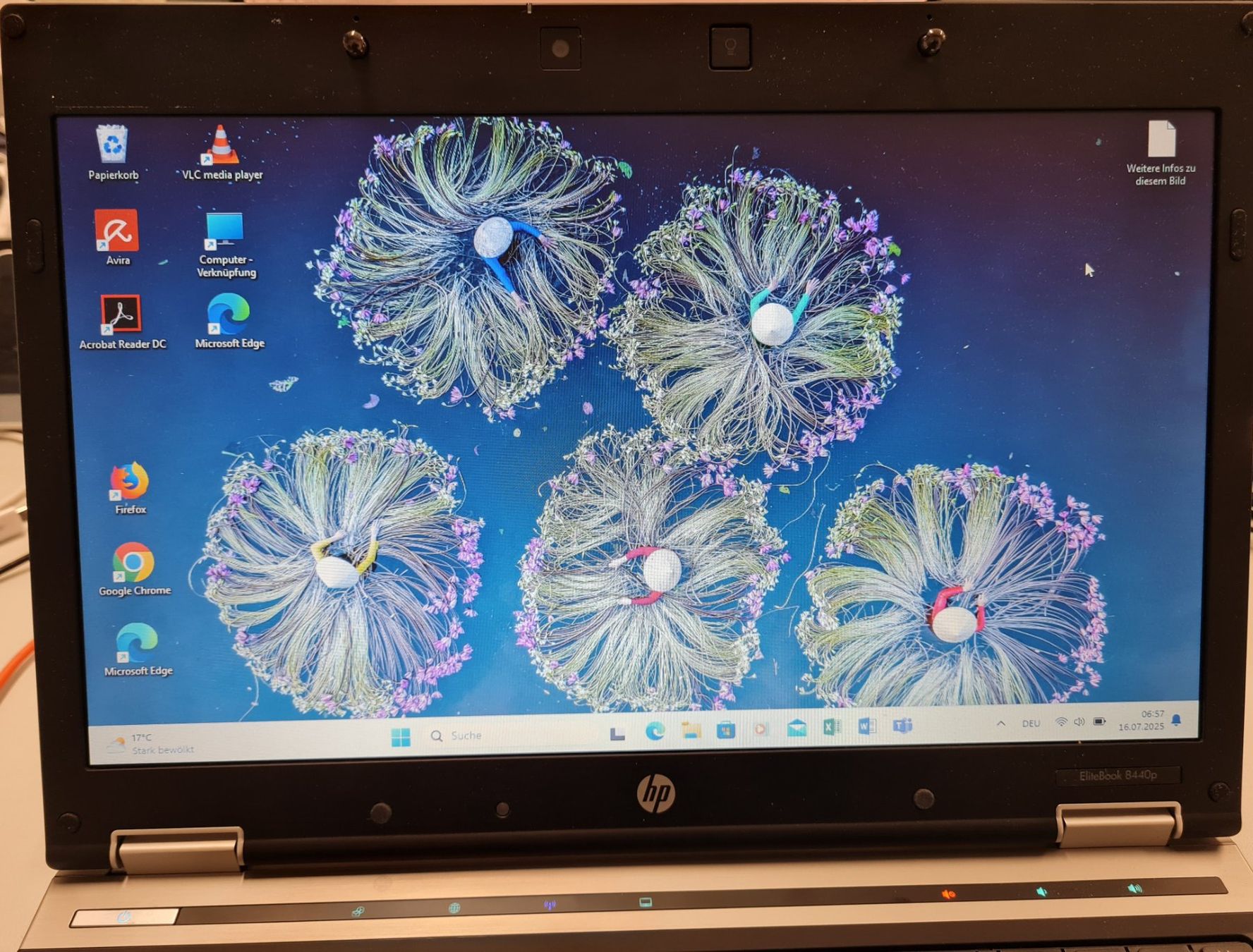 Hewlett Packard Notebook: HP 8440p 14" mit 240GD SSD, WIN 11 Pro Office 2019 ProPlus – Usato da Horw venduto da Arta20000 2