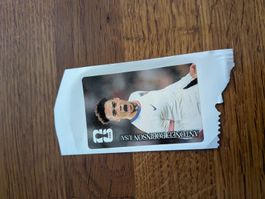 Antonee Robinson Cola Panini 