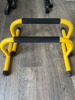 Lebert Fitness Parallettes