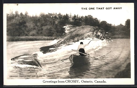 Cartoline postali: Crosby /Ontario, Mann im Ruderboot mit r – Usato da Berlin venduto da bartko-reher