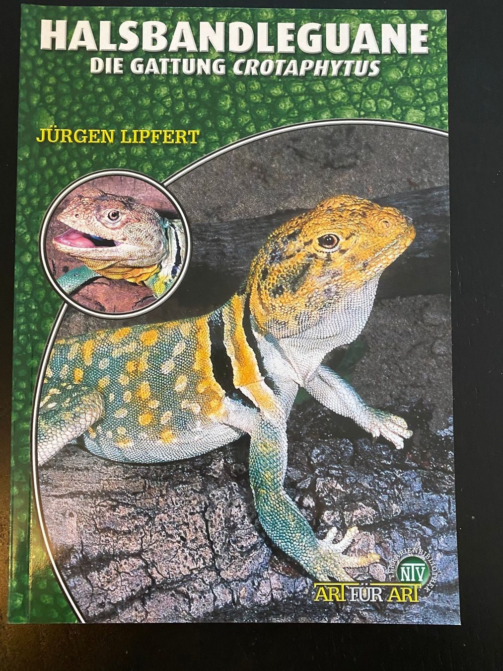 Bücher: 6 Echsen-Bücher (Halsbandleguan, Bartagame, Eidechse etc.) – Gebraucht aus Hölstein von Chabischrut 2