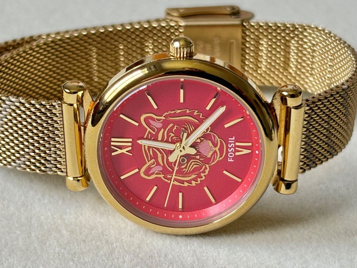 Fossil Orologi: Fossil Tiger-Uhr / Damen – Usato da Brugg AG venduto da lau_9rvy