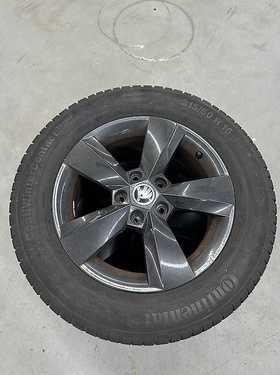 Pneumatici & Ruote complete: Skoda Kodiaq Winterräder – Usato da Willisau venduto da JN1984 1