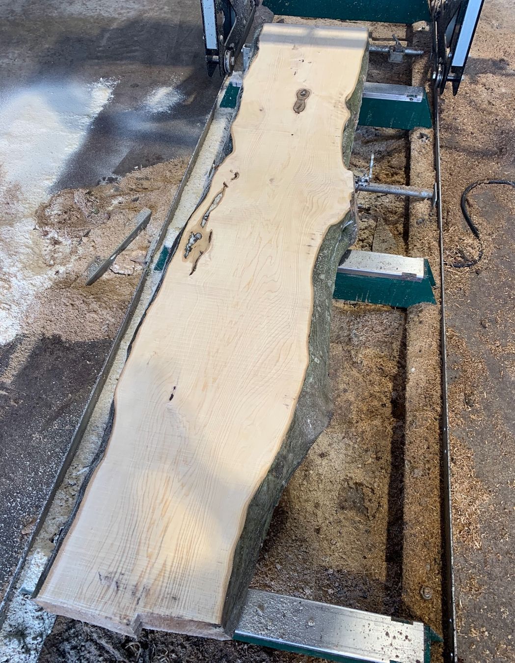 Articoli in legno: Bretter Hagenbuche – Nuovo (secondo la descrizione) da Holziken venduto da Timbergrizzly 3