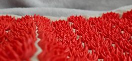 Marca: OrthoMatte, Tappetino per digitopressione ,