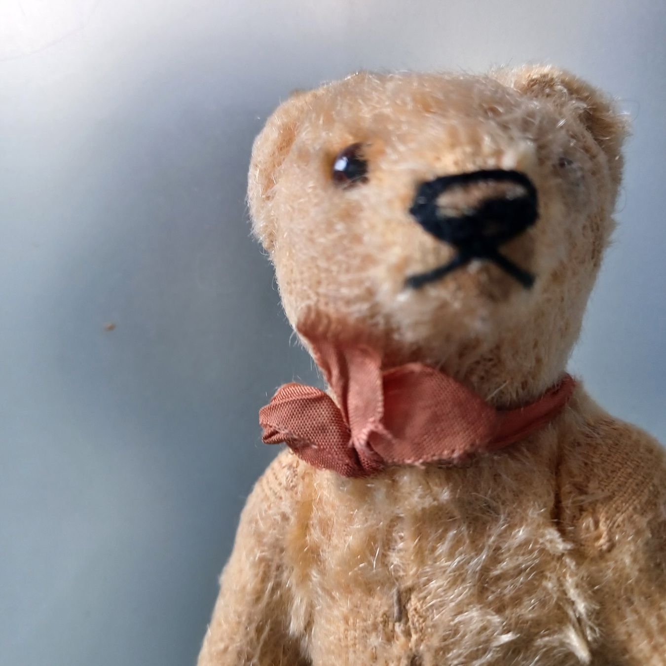 Steiff Giocattoli: winziges Steiff Bärchen 1950iger Jahre – Usato da Abtwil SG venduto da luupsy 3