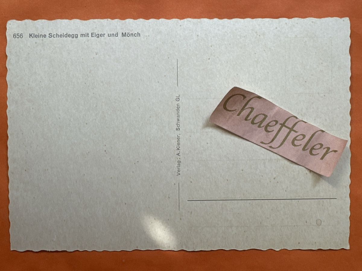 Cartoline postali: Postkarte Kleine Scheidegg mit Eiger und Mönch  – Usato da Zürich venduto da Chaeffeler 1