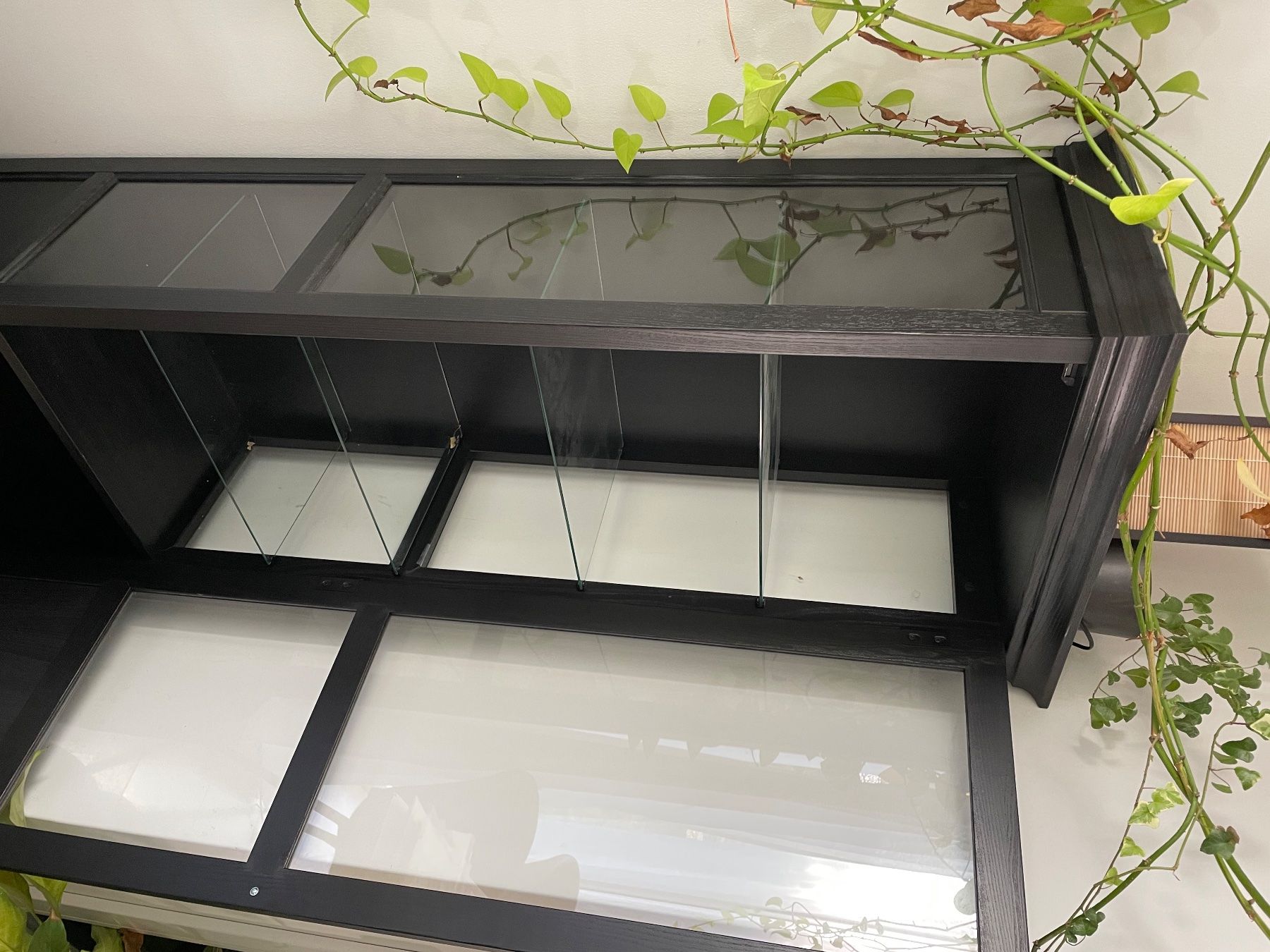Ikea Vitrines: Glasvitrine – D'occasion à Chur par Papillon404 2