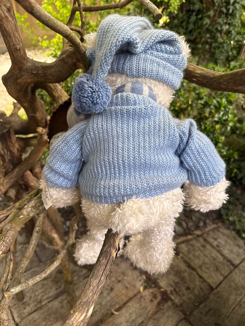 Giocattoli: Sunkid ours en peluche vintage – Nuovo (secondo la descrizione) da Erlach venduto da Manuchka 1