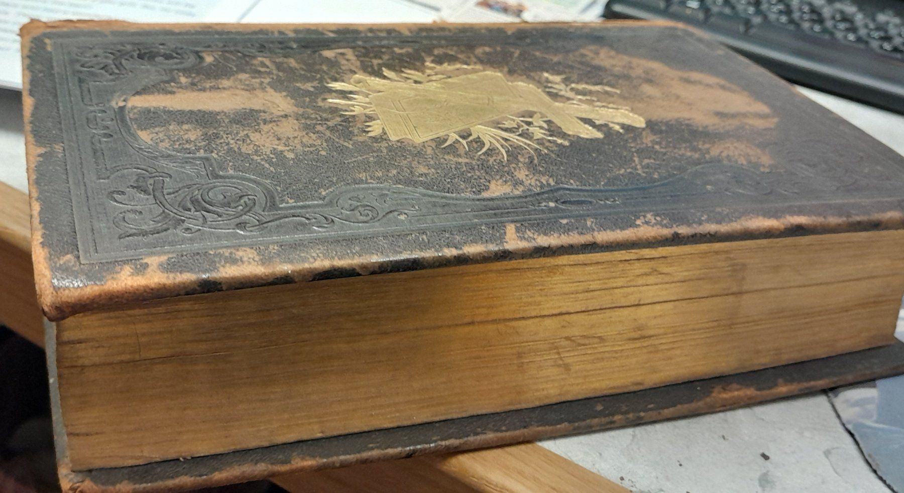 Libri: 200 jährige Bibel – Usato da Pfäffikon ZH venduto da enderby01 2