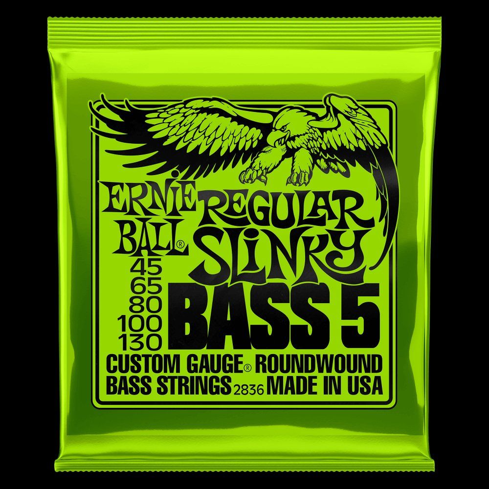 Musikinstrumente: Regular Slinky 5-String Nickel Wound E-Bass Saiten 45-130 – Neu und originalverpackt aus Aarau von D-moll