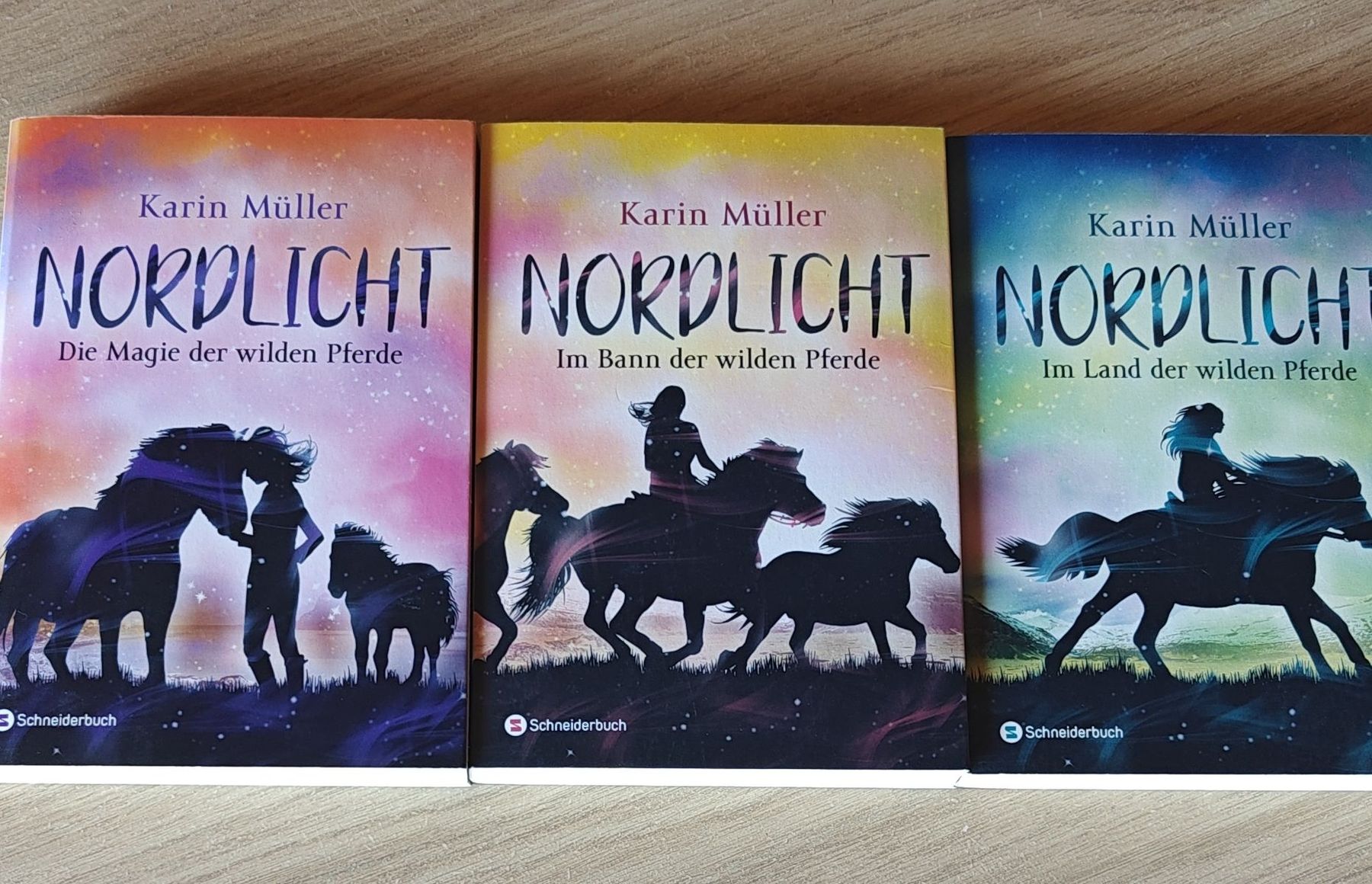 Libri: Karin Müller Nordlicht Buchreihe gebraucht – Usato da Lyss venduto da oli018