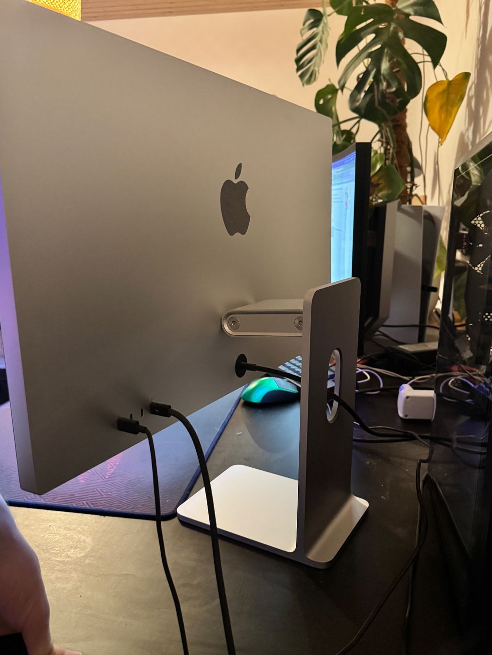 Apple Monitor: Apple – Studio Display – Standardglas – Usato da St. Gallen venduto da tropeluc 1