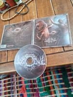 logic of denial- aftermath