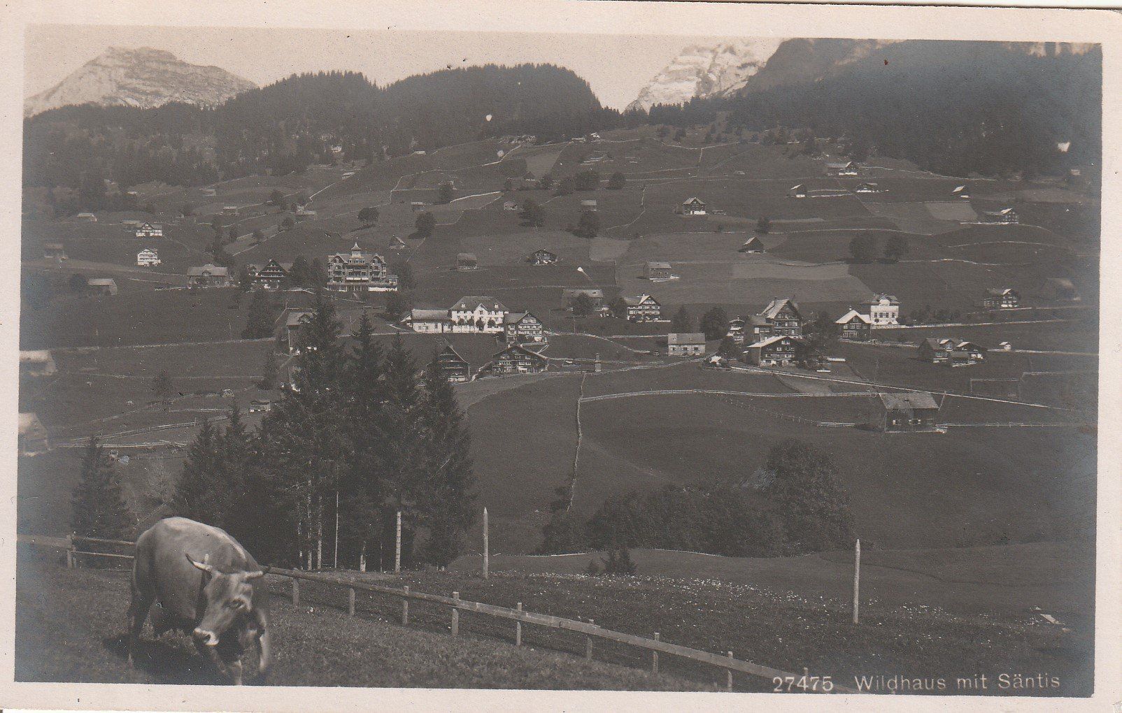 Ansichtskarten: Wildhaus mit Säntis - 1927 – Gebraucht aus uttwil von Koehlerfred
