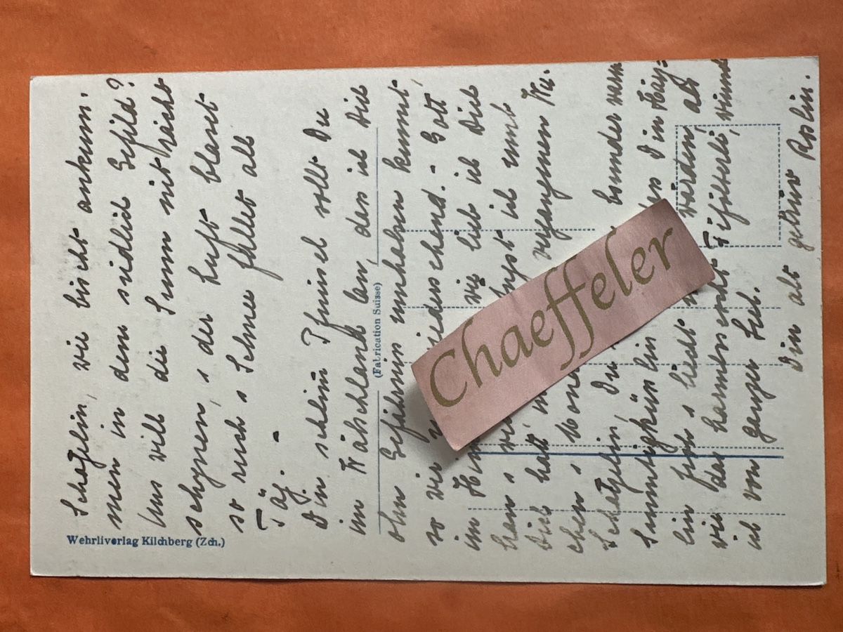 Cartoline postali: 32571 Rapperswil SG – Usato da Zürich venduto da Chaeffeler 1