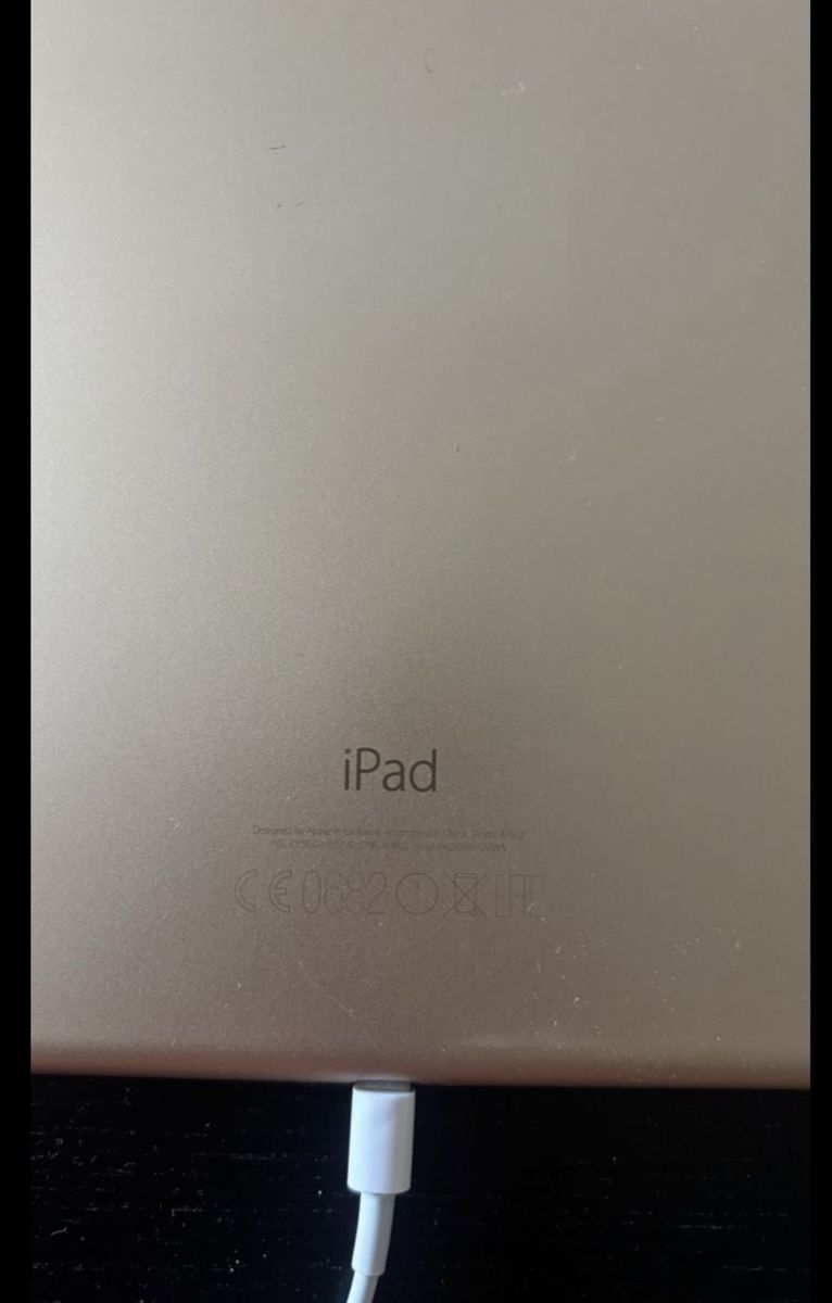 Apple Tablet PC: Apple iPad Pro 1st Gen Gold – Usato da Binz venduto da cat_8k75 3