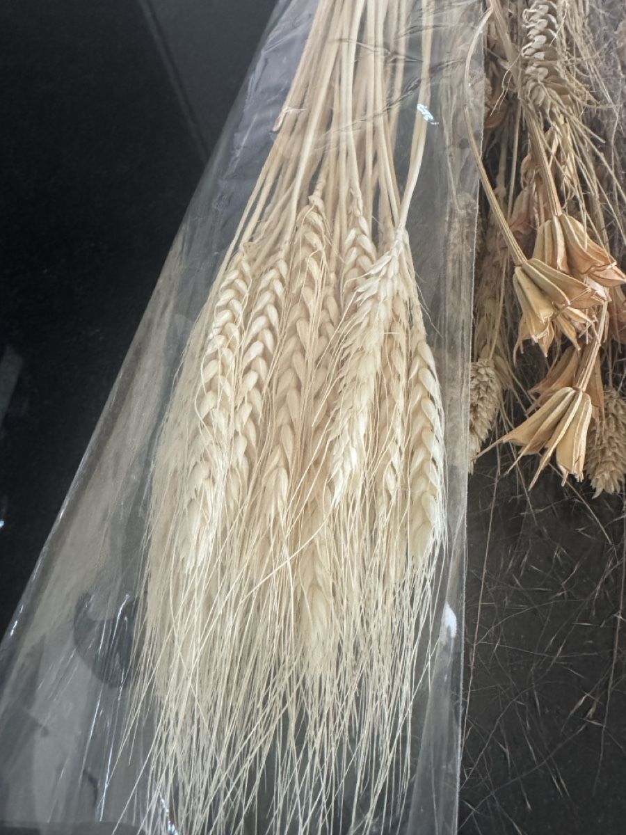 Tutte le decorazioni: Div. Trockenblumen – Nuovo (secondo la descrizione) da Frauenfeld venduto da reb_sy9k 3