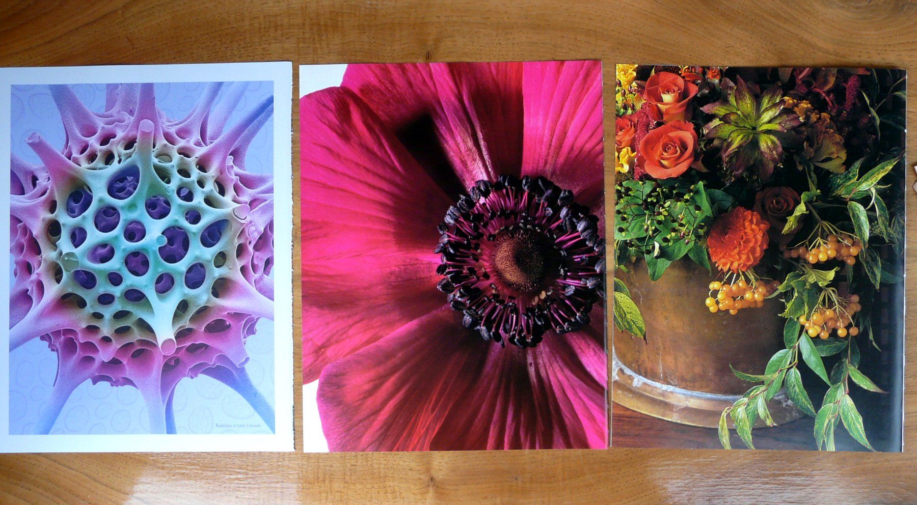 Libri: ephemera 7/papier collage bastelpapier scrapbooking +Versand – Usato da Pully venduto da websurfer1 3