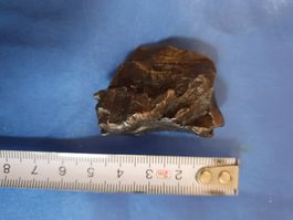 Meteorit Rohstein Russland Sikhote-Alin Echt Mineralien