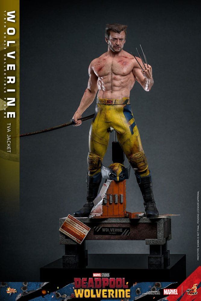 Hot Toys Statuette: Hot toys Wolverine (TVA Jacket Version) – Nuovo (secondo la descrizione) da Aarau Rohr venduto da tobinogio 2
