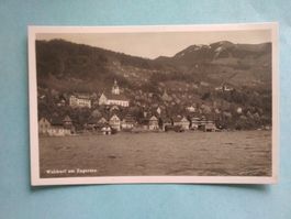 ZG Walchwil