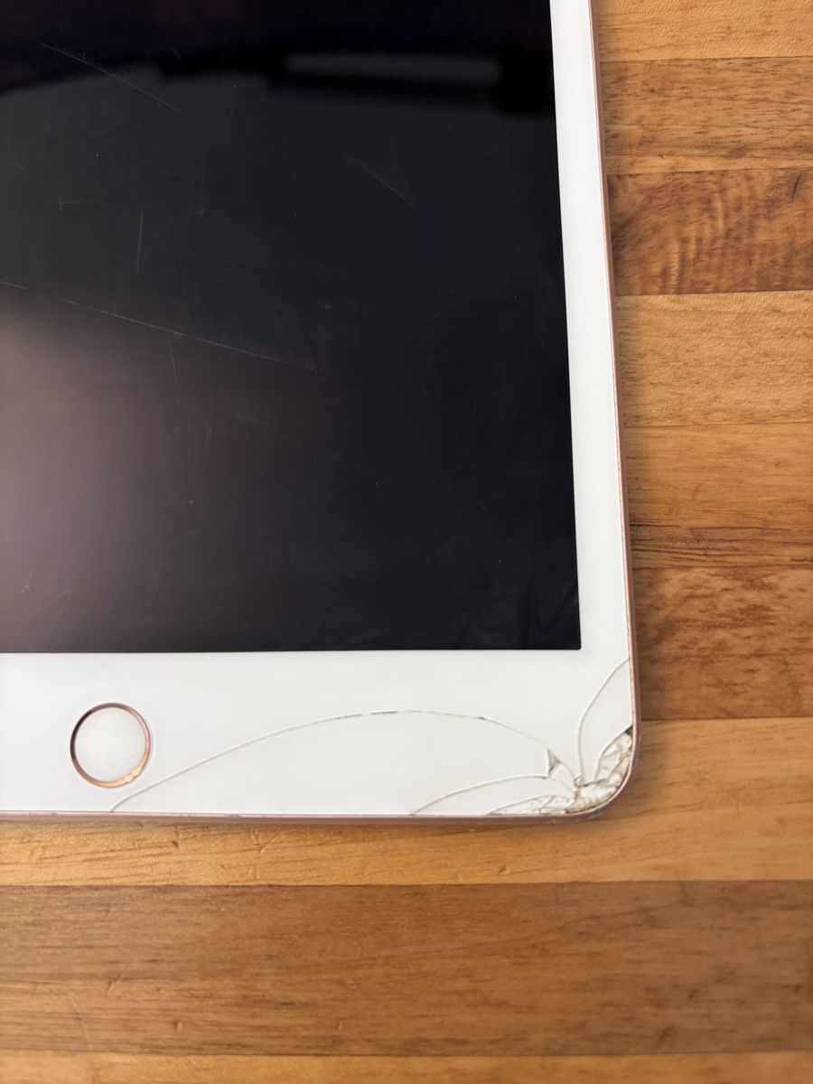 Apple Tablet PC: Apple iPad Mini 5 256 GB Rosé  – Difettoso da Müllheim Dorf venduto da Checker87 1