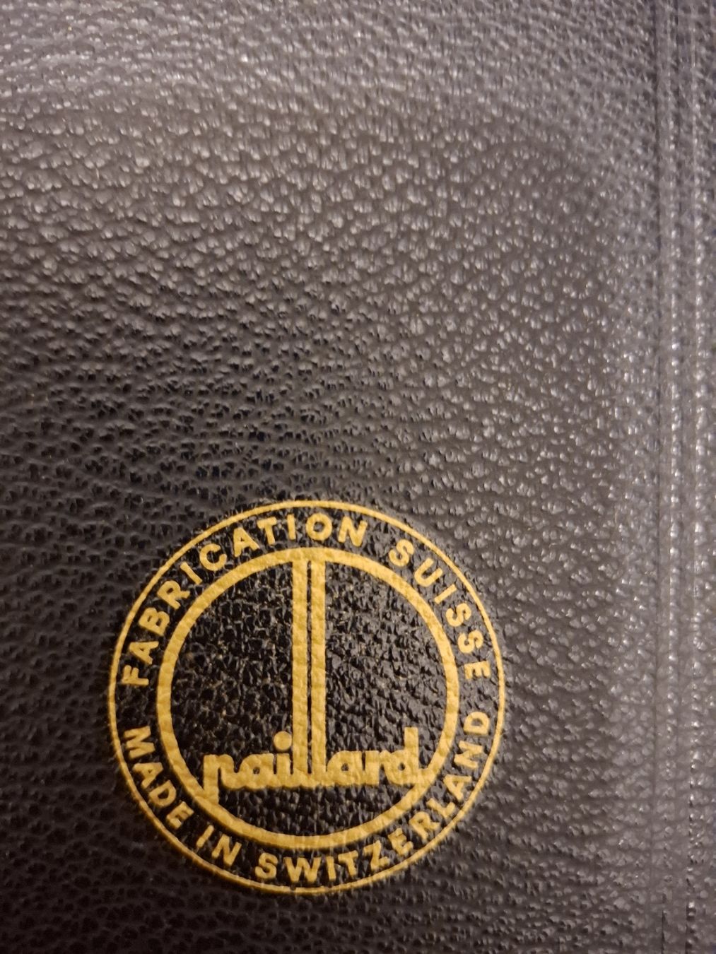 Paillard Giradischi: Vintage Grammophon – Usato da Bleiken b. Oberdiessbach venduto da Trinneli 8